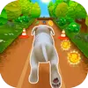 Pet Run ไอคอน