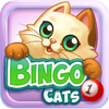 Bingo Cats ไอคอน