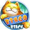 Bingo Beach ไอคอน