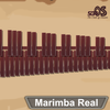 Marimba, Xylophone, Vibraphone Real ไอคอน