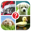 Guess the word ~ 4 Pics 1 Word ไอคอน