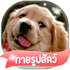 เกมส์ทายรูปสัตว์ 2564 ไอคอน