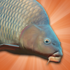 Carp Fishing Simulator - Pike, Perch & More ไอคอน