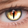 FoxEyes - Change Eye Color ไอคอน