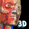 Anatomy Learning - 3D Anatomy Atlas ไอคอน