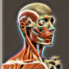 Anatomia Humana en 3D.Atlas ไอคอน