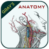 Gray's Anatomy - Anatomy Atlas ไอคอน