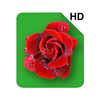 HD Rose Flowers Live Wallpaper ไอคอน