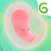 GLOW. Pregnancy & Baby Tracker + Baby Registry App ไอคอน