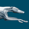 Greyhound ไอคอน